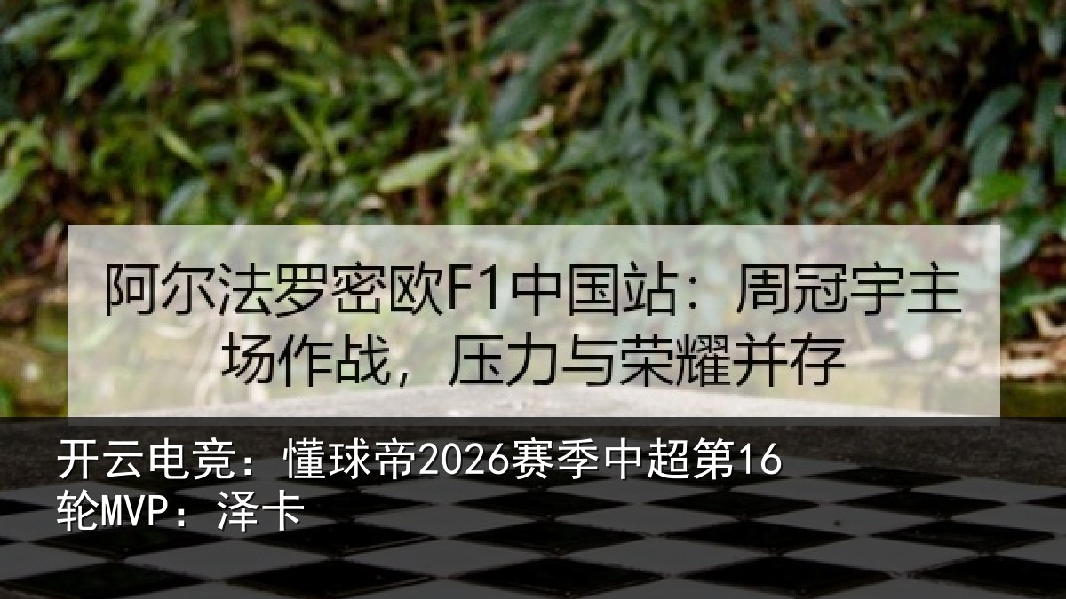开云电竞:懂球帝2026赛季中超第16轮MVP:泽卡